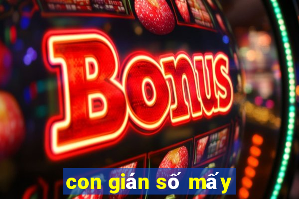 con gián số mấy