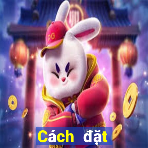 Cách đặt cược XSCT Thứ 4