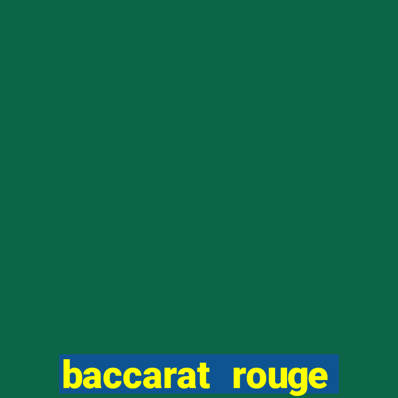 baccarat rouge travel case