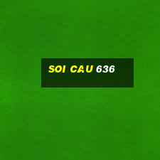 soi cau 636