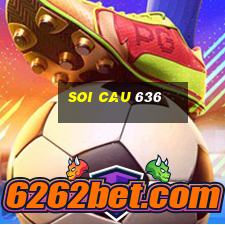 soi cau 636