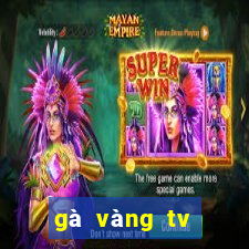 gà vàng tv trực tiếp bóng đá