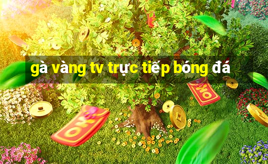 gà vàng tv trực tiếp bóng đá