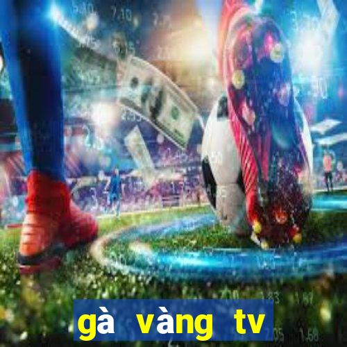 gà vàng tv trực tiếp bóng đá