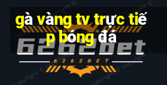 gà vàng tv trực tiếp bóng đá