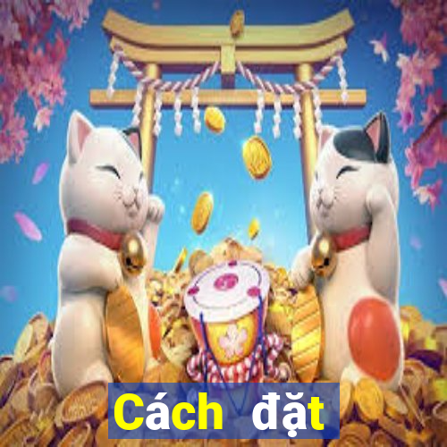 Cách đặt cược XSKT ngày 5