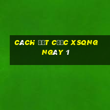 Cách đặt cược XSQNG ngày 1