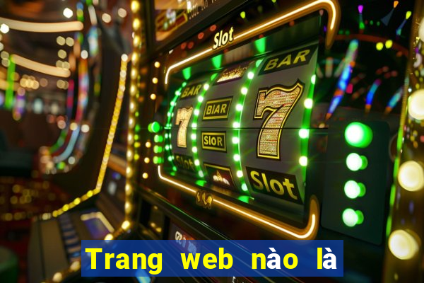 Trang web nào là nền tảng bbin