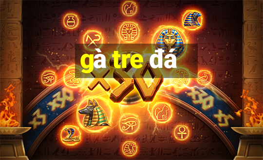 gà tre đá