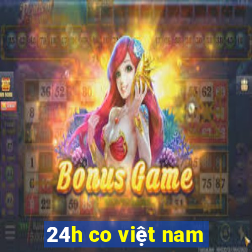 24h co việt nam