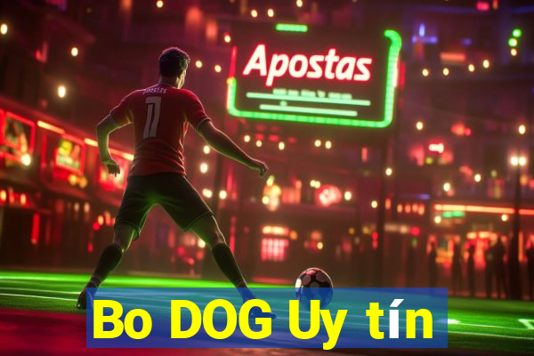 Bo DOG Uy tín