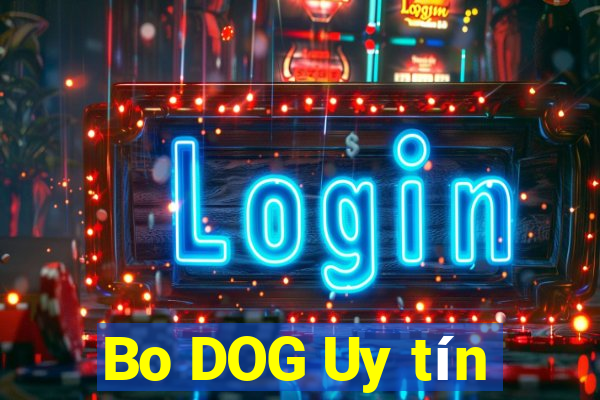 Bo DOG Uy tín