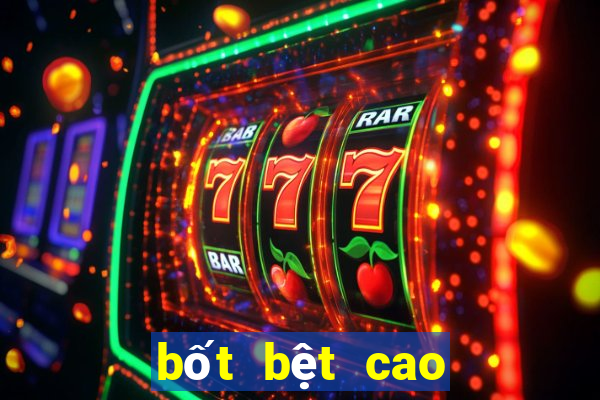 bốt bệt cao cổ nữ