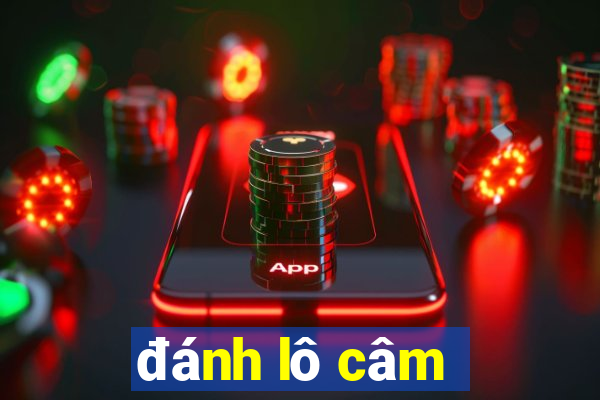 danh lo cam