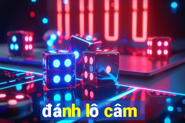 danh lo cam