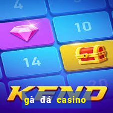 gà đá casino trực tiếp