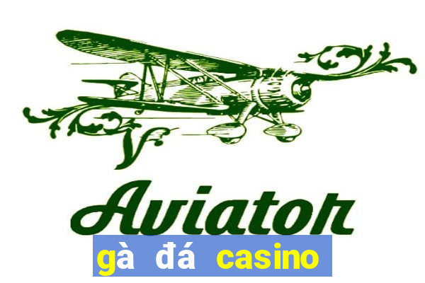 gà đá casino trực tiếp