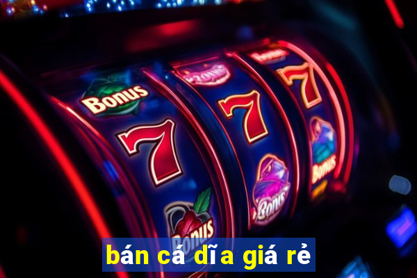 bán cá dĩa giá rẻ