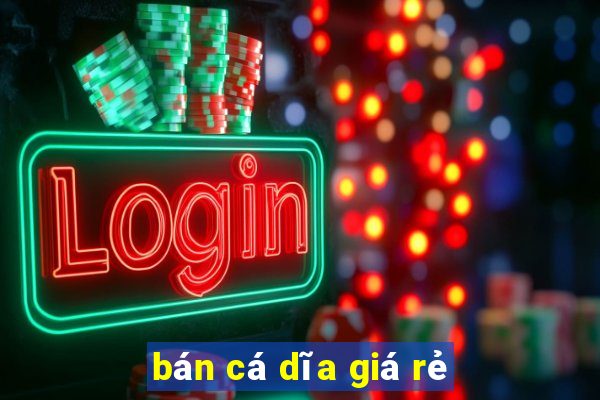 bán cá dĩa giá rẻ