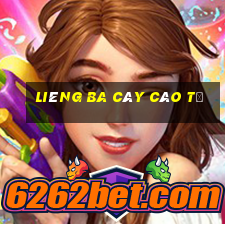 liêng ba cây cào tố