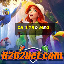 chơi trò mèo