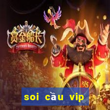 soi cau vip binh dinh chinh xac nhat