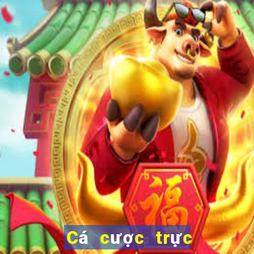 Cá cược trực tuyến go88