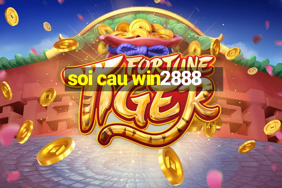 soi cau win2888