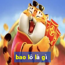 bao lô là gì