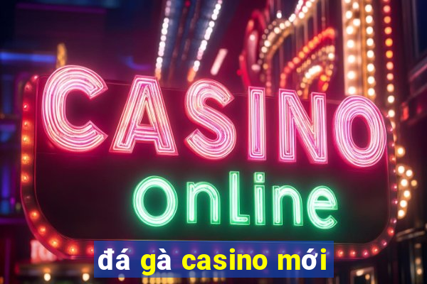 đá gà casino mới