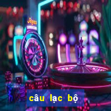 câu lạc bộ bóng đá nam định