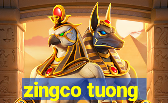 zingco tuong