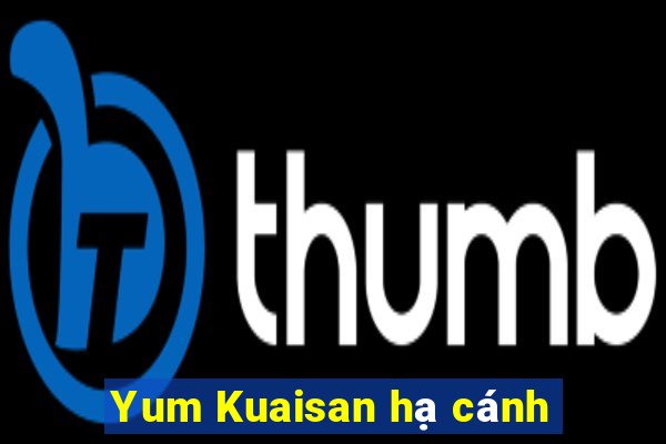 Yum Kuaisan hạ cánh