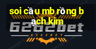 soi cầu mb rồng bạch kim