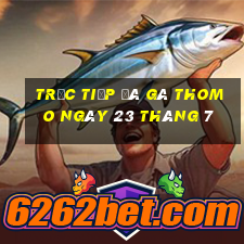 trực tiếp đá gà thomo ngày 23 tháng 7