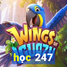 học 247