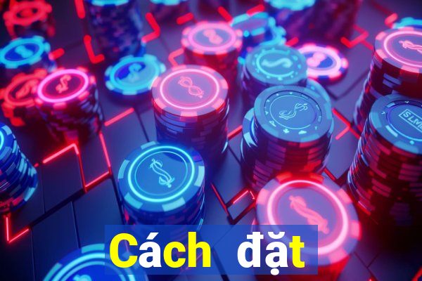 Cách đặt cược XSHCM Chủ Nhật