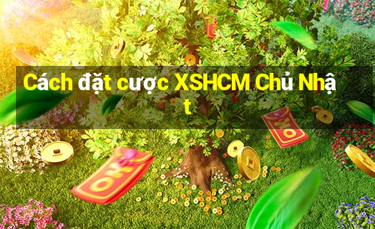 Cách đặt cược XSHCM Chủ Nhật