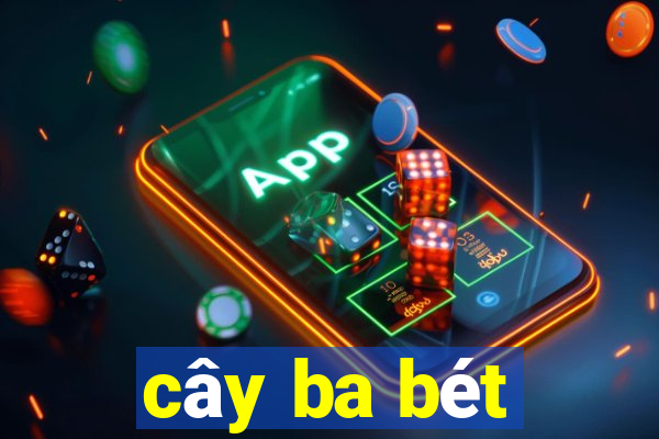 cây ba bét