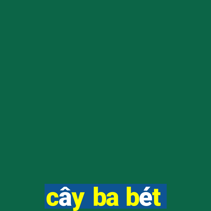 cây ba bét