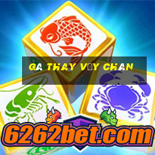 gà thay vảy chân