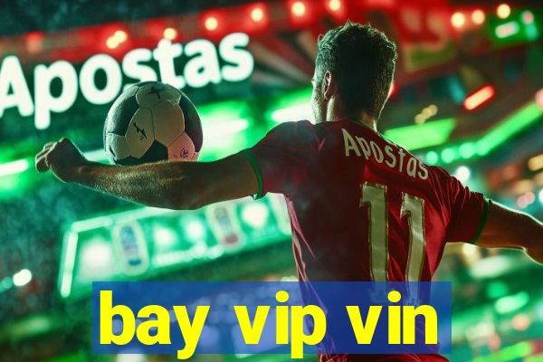 bay vip vin