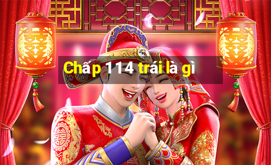 Chấp 1 1 4 trái là gì