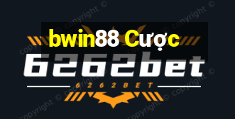 bwin88 Cược