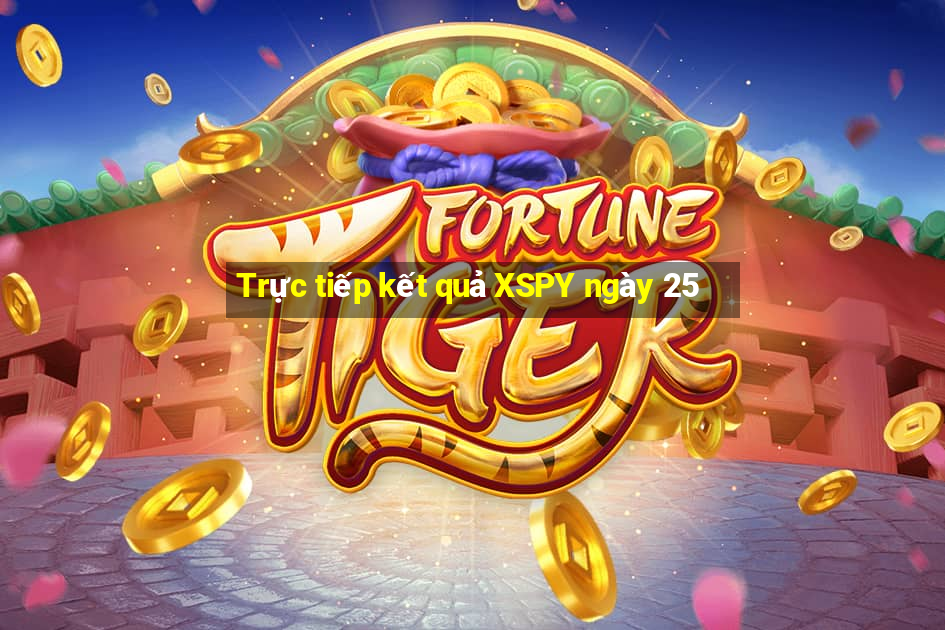 Trực tiếp kết quả XSPY ngày 25