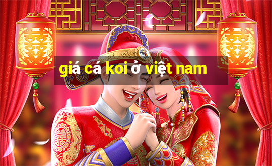 giá cá koi ở việt nam