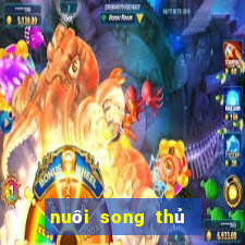 nuôi song thủ lô khung 2ngay