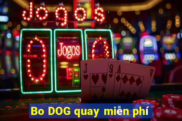 Bo DOG quay miễn phí