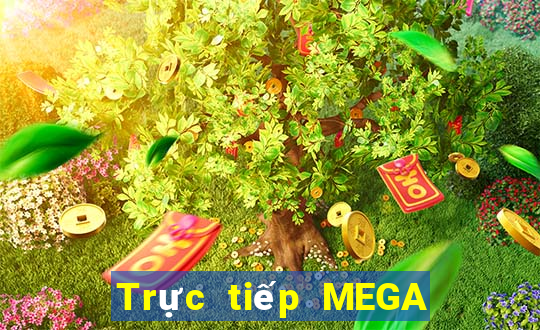 Trực tiếp MEGA 6 45 ngày 24