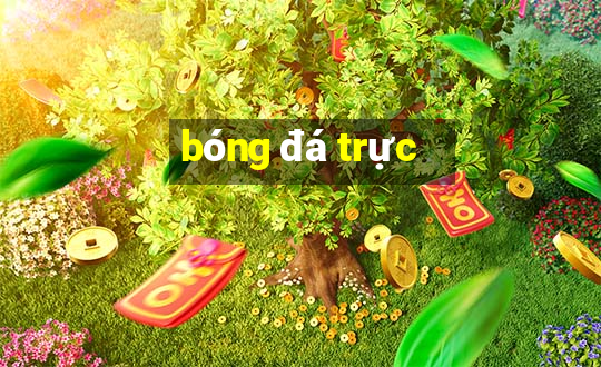 bong da truc